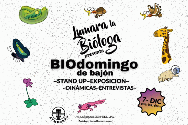 BIOdomingo